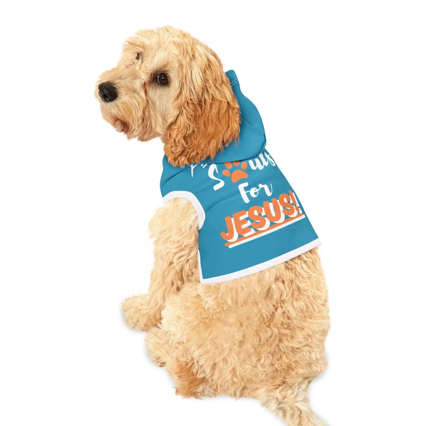 Fetching Souls for Jesus, Dog Hoodie - The Confirmation House