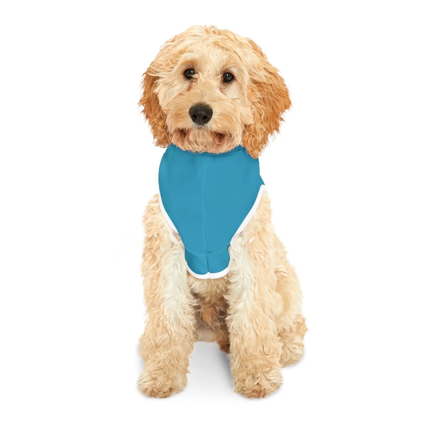 Fetching Souls for Jesus, Dog Hoodie - The Confirmation House
