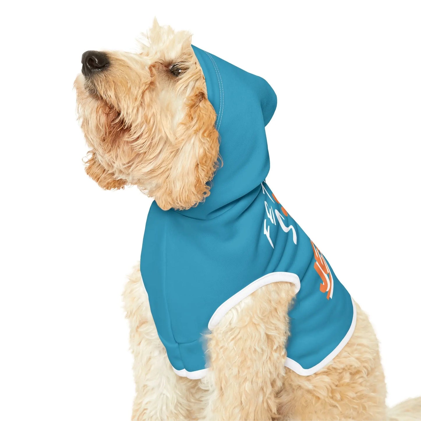 Fetching Souls for Jesus, Dog Hoodie - The Confirmation House