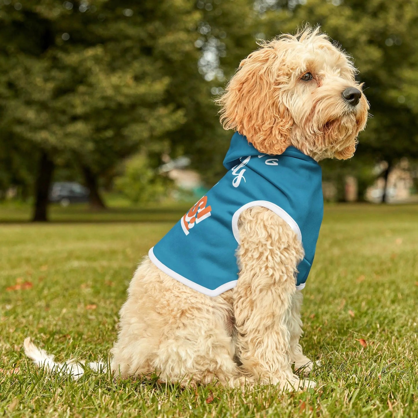 Fetching Souls for Jesus, Dog Hoodie - The Confirmation House