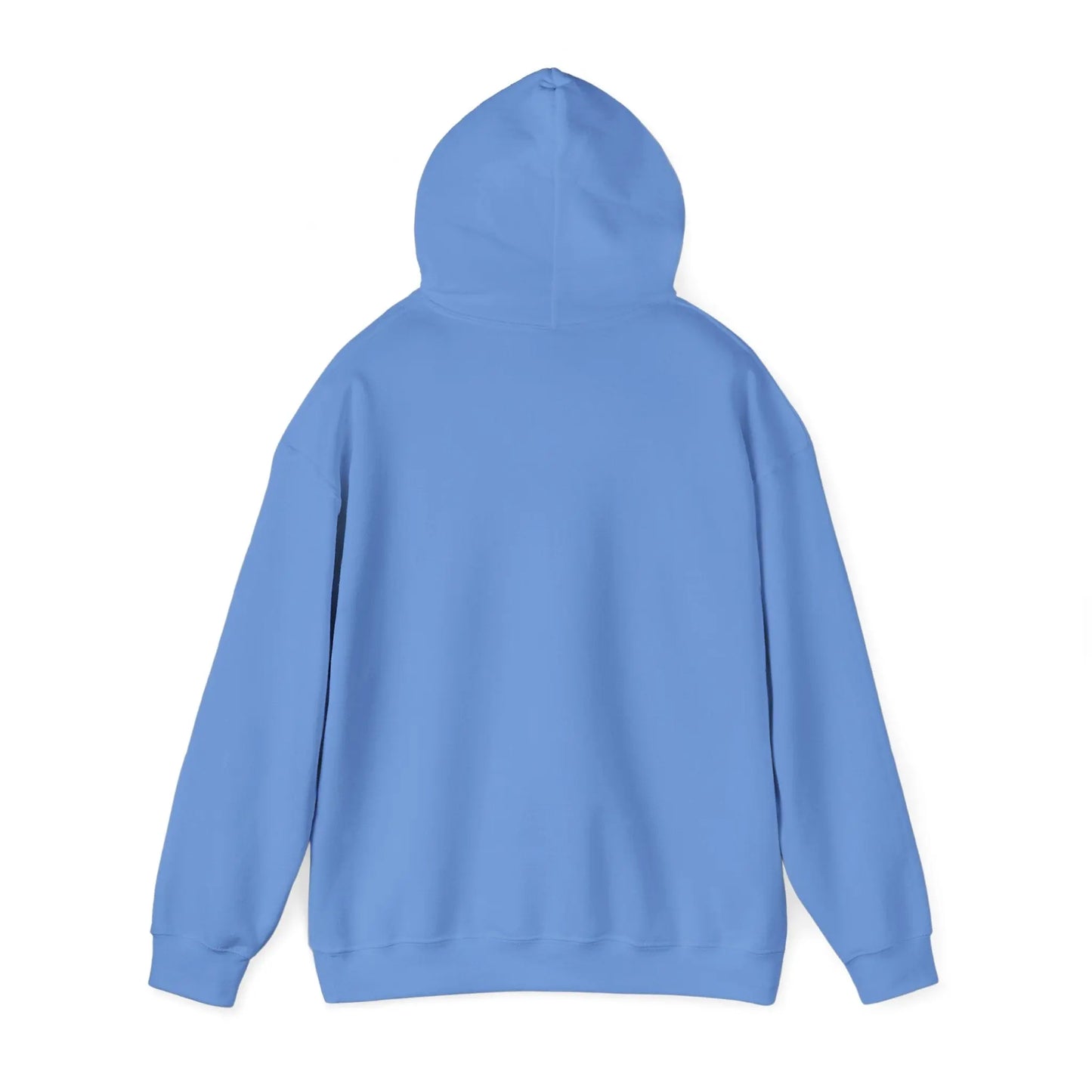Pledge of Allegiance, USA Patriotic Hoodie, Gender Neutral Heavy Blend™ Hooded Sweatshirt, USA Shirt, Patriotic Tshirt Product vendor