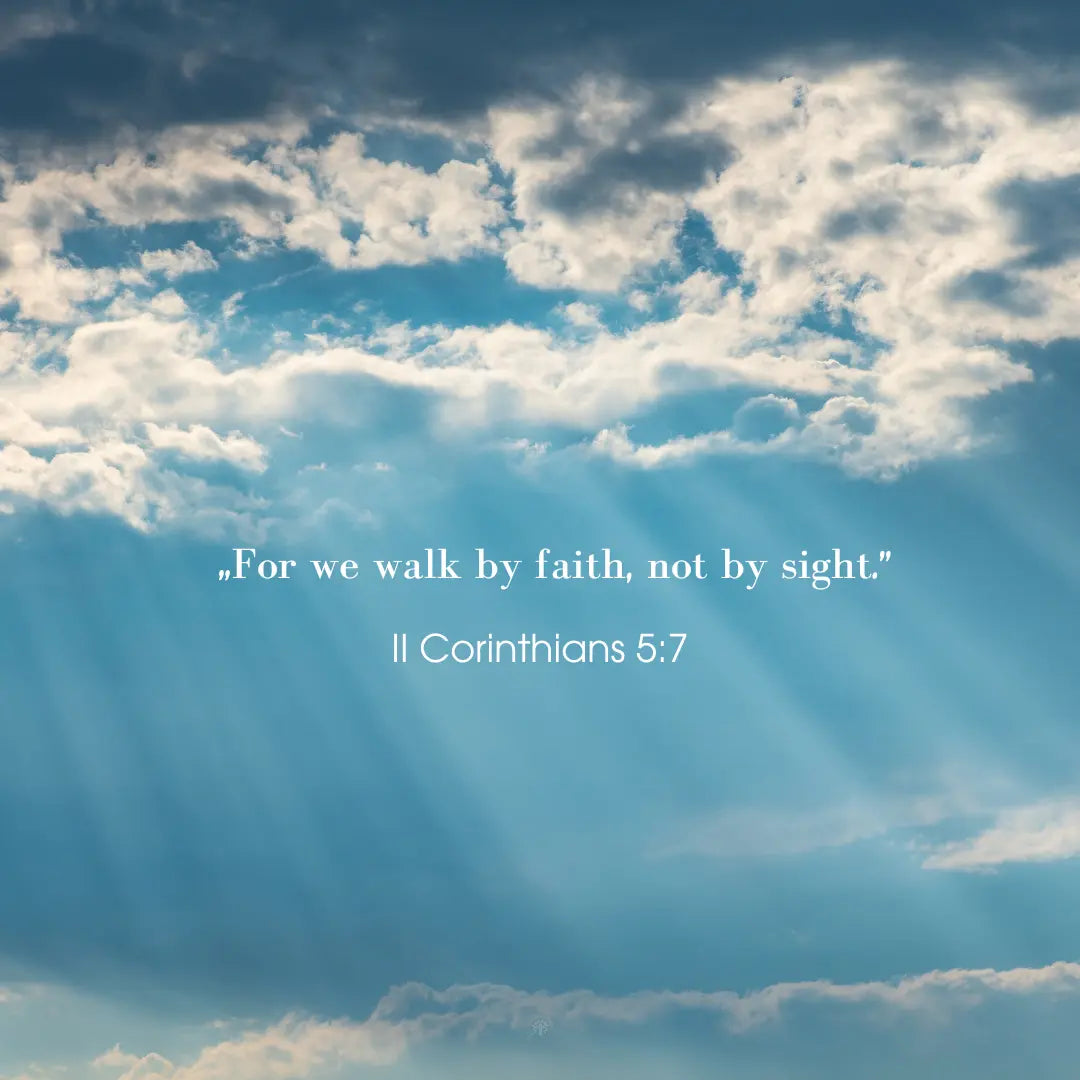 Sight