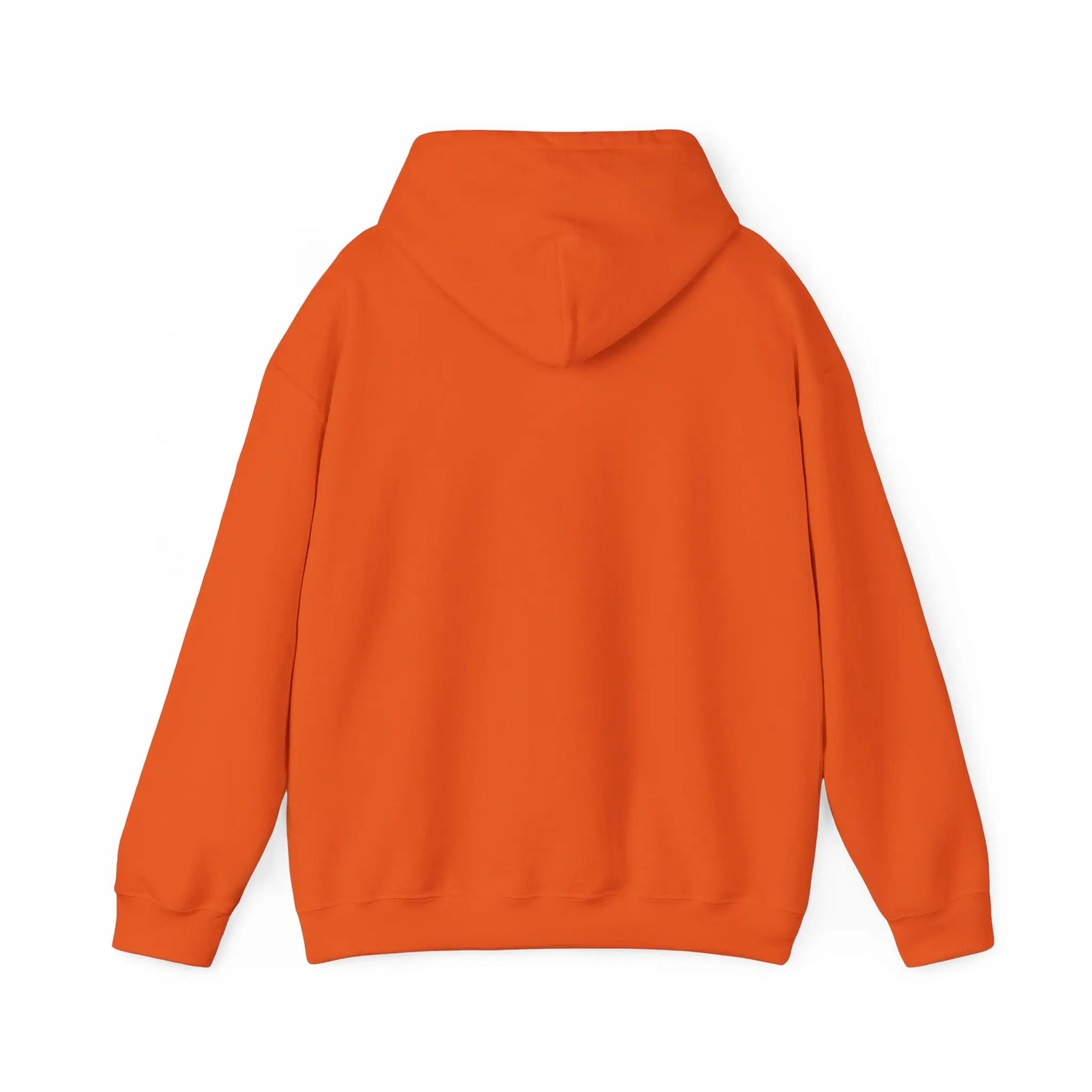 Faith Is My Shield, Hoodie Product vendor