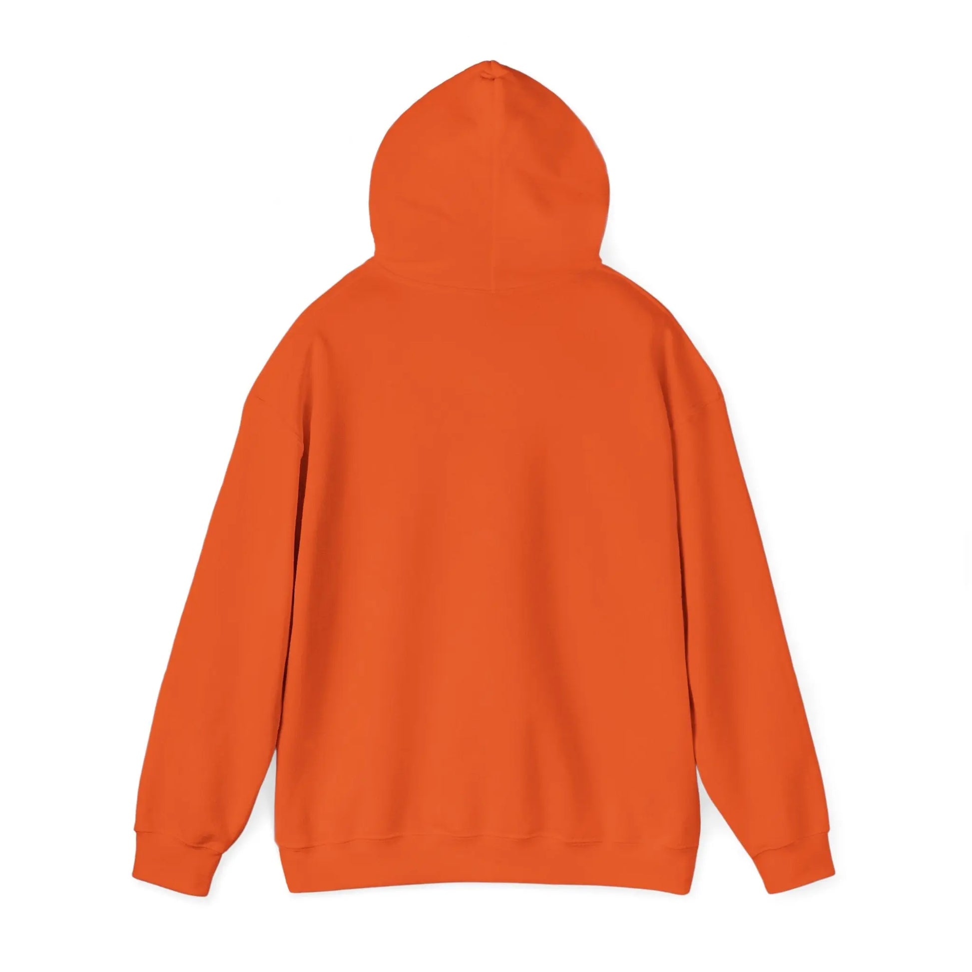 Faith Is My Shield, Hoodie Product vendor